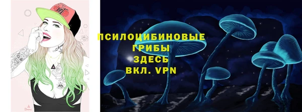 сатива Баксан