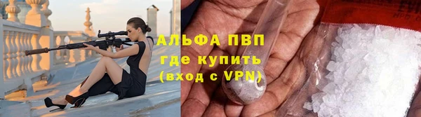 сатива Баксан