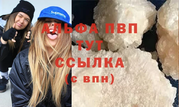 сатива Баксан