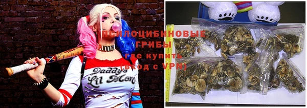 сатива Баксан