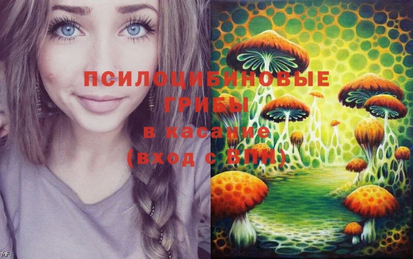 сатива Баксан