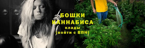 сатива Баксан