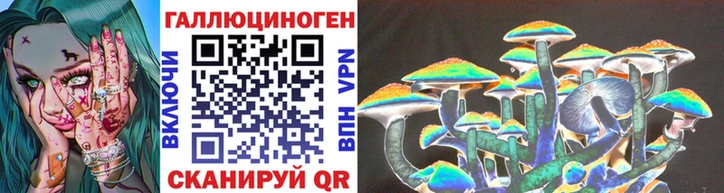 кракен зеркало  Буйнакск  Галлюциногенные грибы MAGIC MUSHROOMS 